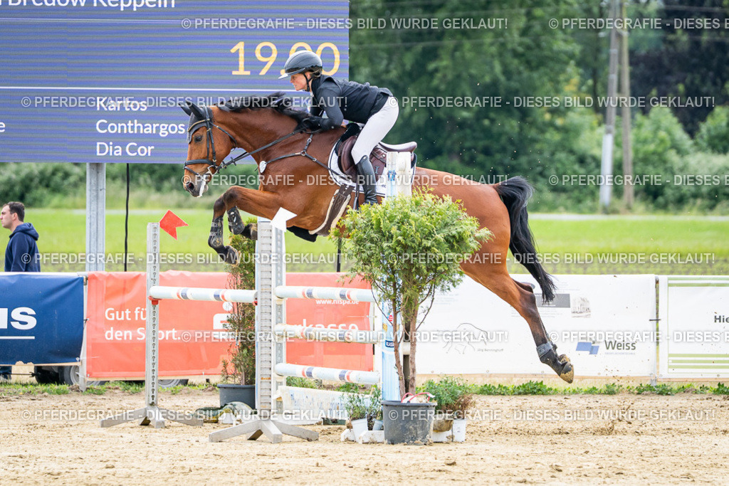 DSC05209 | Pferdegrafie