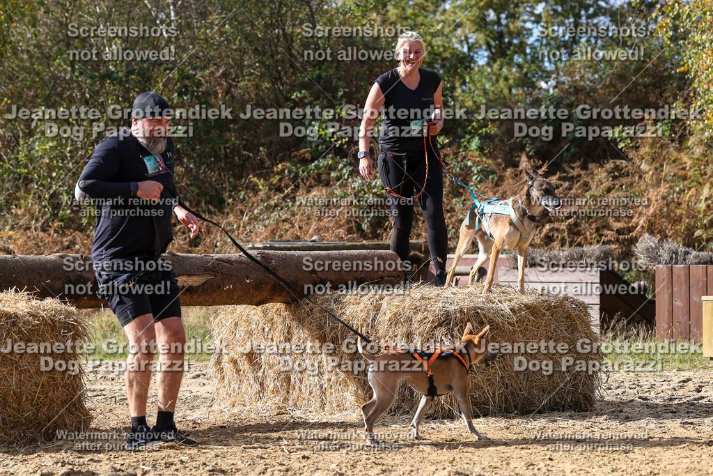Dog Paparazzi - Strongdog 10-25-5303 | Dog Paparazzi Jeanette Grottendiek Fotografie & Videografie - Realisiert mit Pictrs.com