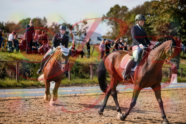 2026_10_03_Siefer-Hof_130327_Z63_65668766 | Professionelle Reitsport-, Turnier- und Eventfotografie von Robert Broda. Galerien mit ausgewählten und bearbeiteten Bildern direkt online ansehen und bestellen.
