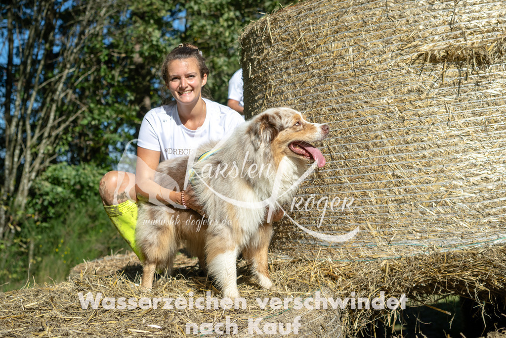 1212_ZZ90736-2 | kk-dogfotos