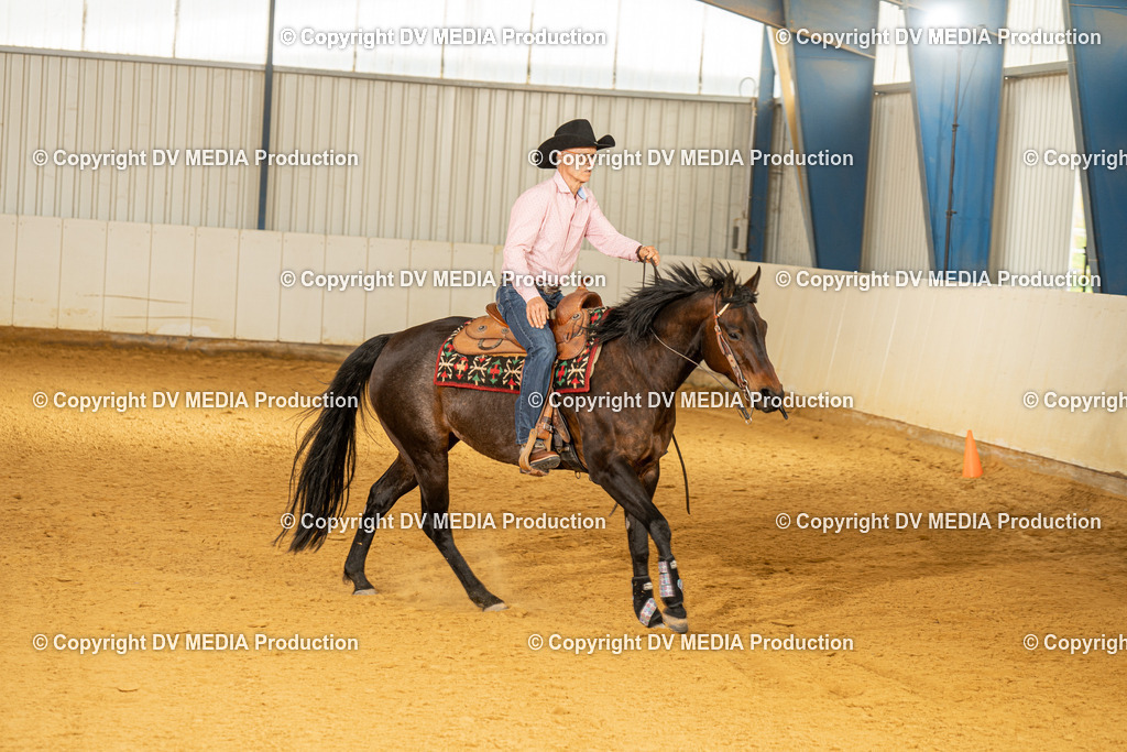 MIT01395 | dv-media-shop - Realisiert mit Pictrs.com