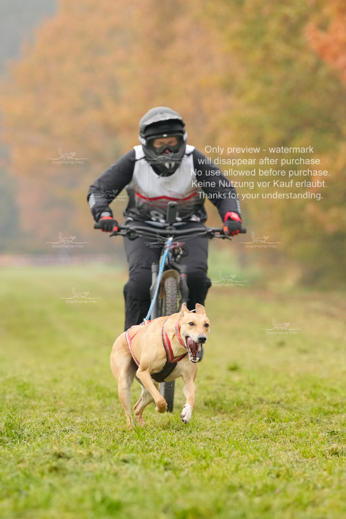 Visbeck_Sa_Bike-276 | stephaniefillaphotographie - Realisiert mit Pictrs.com
