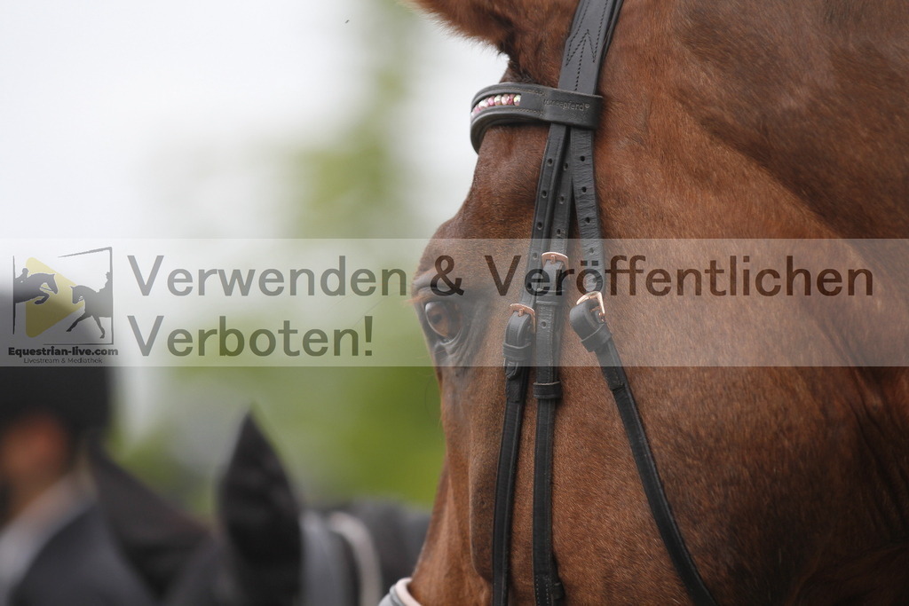 _MG_8358 | equestrian-live-com