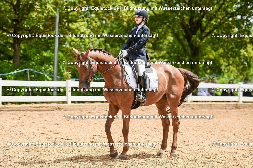 20230716_03_Dressurprfg. Kl.L - Tr._0377 | equistock