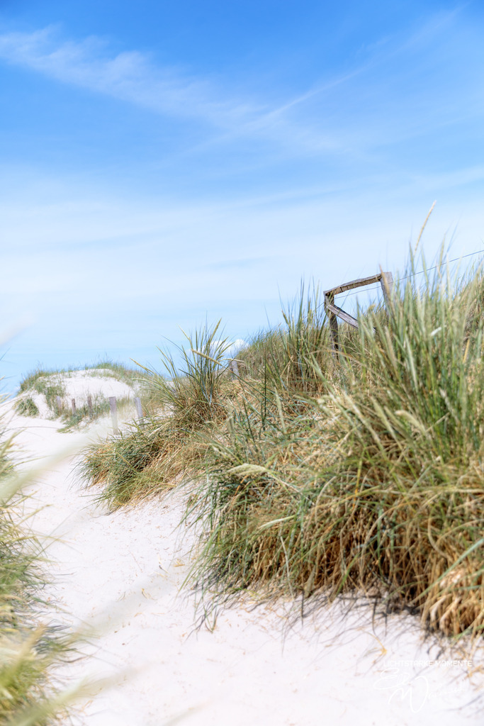 20230622-131040 NORDSEE SPO _038-1 | Herzlich willkommen auf meiner Seite! Ich bin Elke Wallnisch, Deine Fotografin für lichtstarke Momente. Der Name steht für alles, was mich mit der Fotografie verbindet: Das Licht und seine machtvolle Wirkung auf eine Situation oder unsere Stimmung - Realisiert mit Pictrs.com