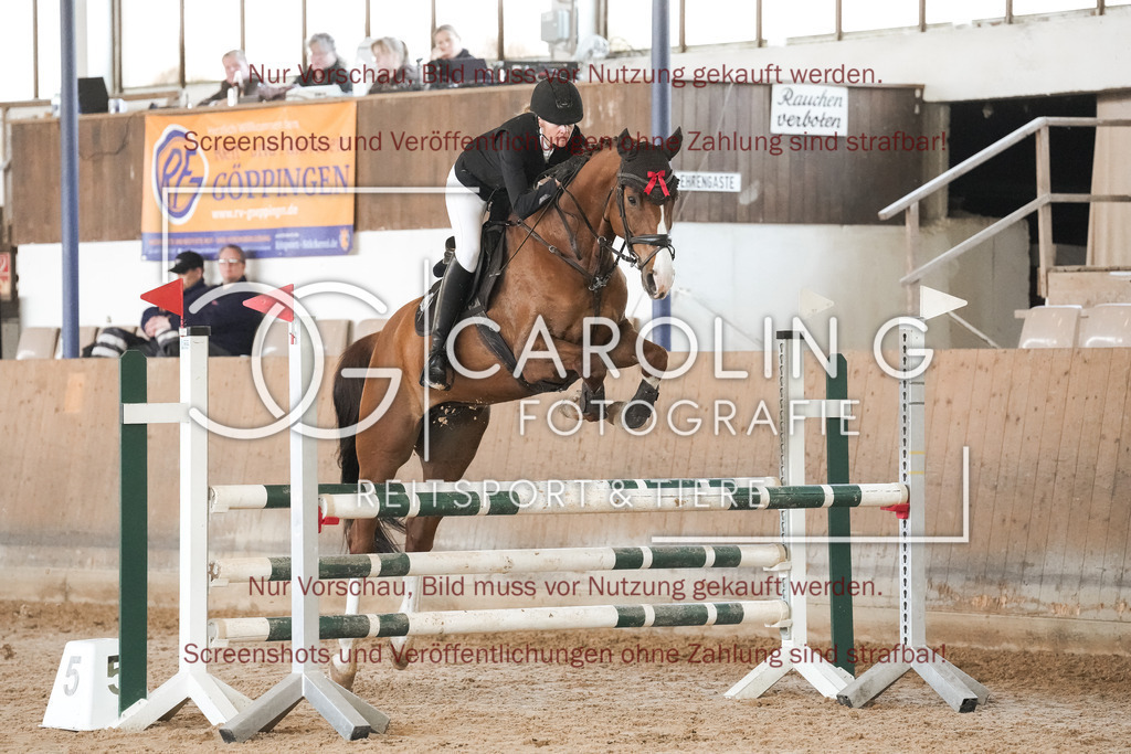 DSC00165 | Reitturnier_Göppingen_April_2026, Merrit_reiniger, Central_fox