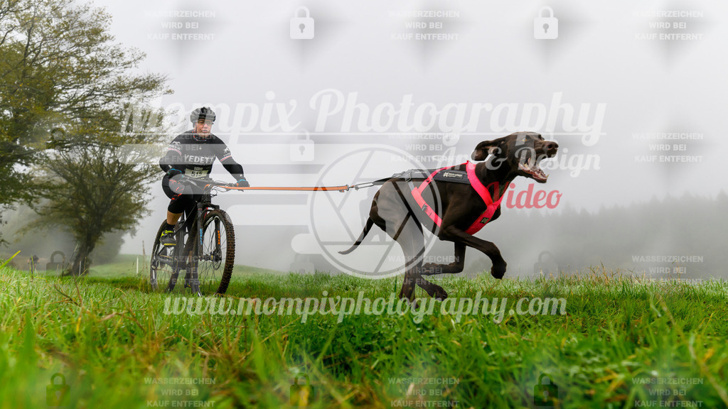 MompixPhotography_20TSB_E5_Bike-87 | PayLife