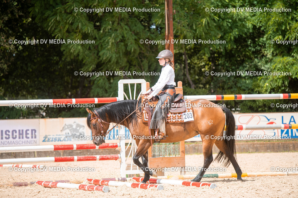 EWP_6642 | dv-media-shop - Realisiert mit Pictrs.com