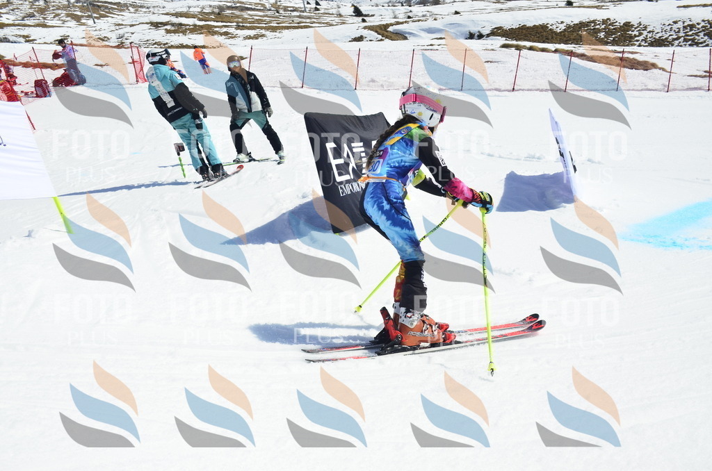 _ELE0823 | holidayphoto