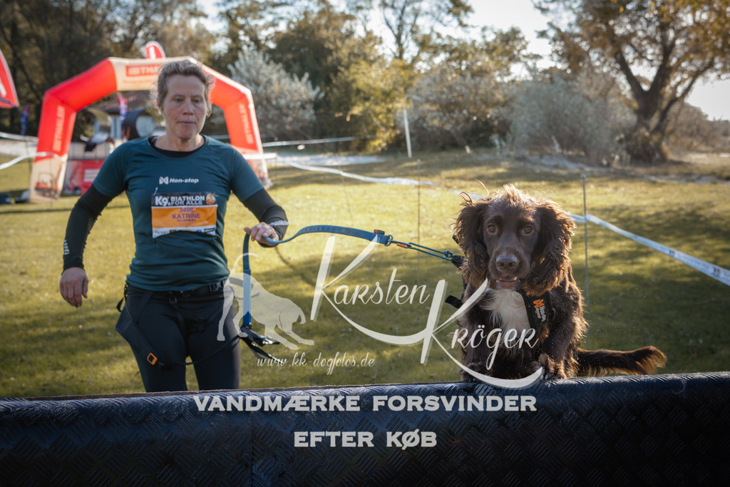 1204_ZZ94514 | kk-dogfotos
