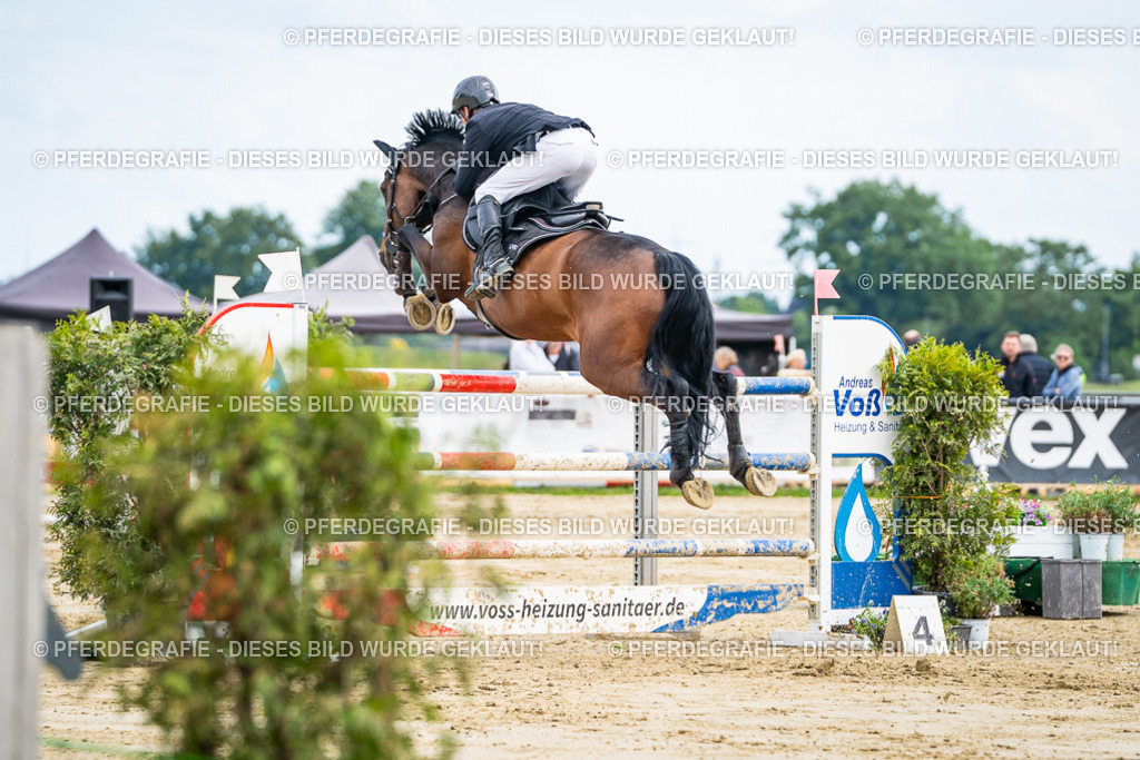 DSC07058 | Pferdegrafie