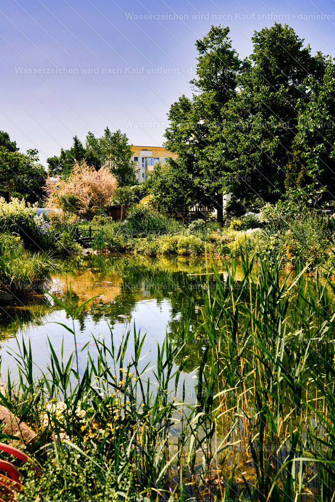 Leipzig Grünau – Kolonnadengarten Grünau (Sommer 2026) | Leipzig Grünau – Kolonnadengarten Grünau (Sommer 2026) - Realisiert mit Pictrs.com