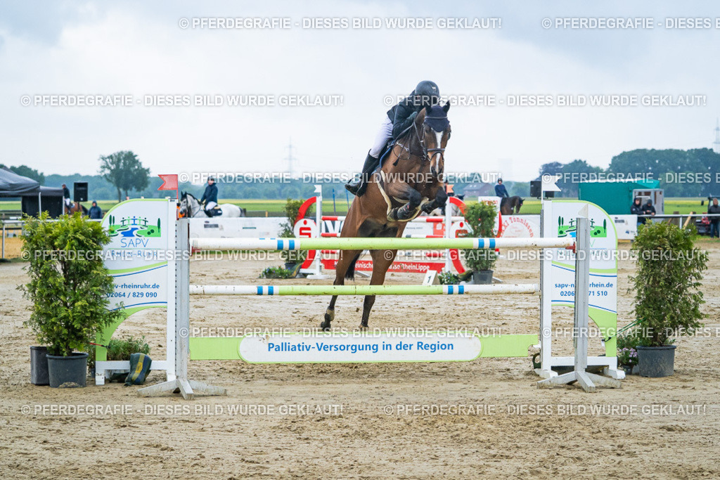 DSC00290 | Pferdegrafie