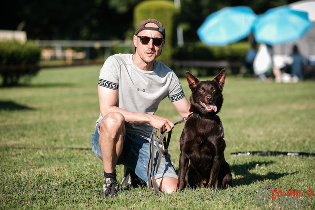 CACIB Aarau | CACIB Aarau, Swiss Dog Show  28062025 Foto: Leo Wyden