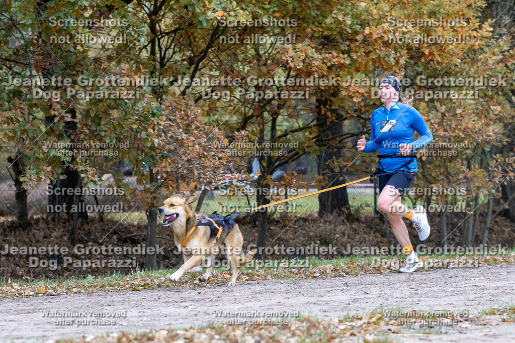 Dog Paparazzi - SD CaniX Championship 2025-477 | Dog Paparazzi Jeanette Grottendiek Fotografie & Videografie - Realisiert mit Pictrs.com