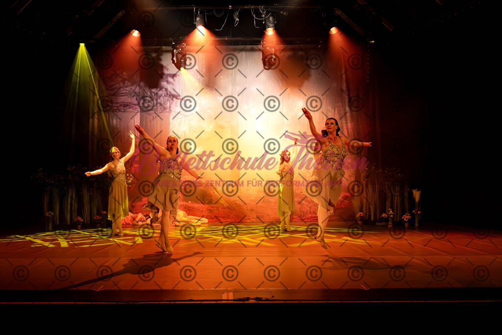 Ballettaufführung-548 | Bildershop Lem'n Entertainment - Realisiert mit Pictrs.com