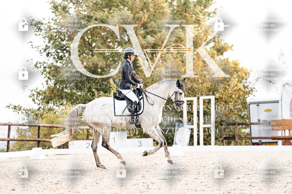 CK900511 | Turnierfotografie Pferdefotografie Trier Rheinland-Pfalz Pferdesport Reitsport Tierfotografie Sportfotografie Pferdevideo Pferdevideografie Equestrianvideography equestrianphotography  - Realisiert mit Pictrs.com