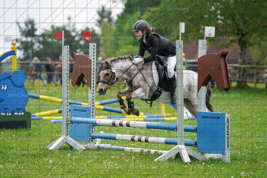 20240509-FAH02390 | Turnierbilder der Turnierfotografen Bayern, Pferdesport Fotografie, Reitsportbilder, Turnier Landberg am Lech, Turnierbilder bayern, Fotoagentur Herrmann