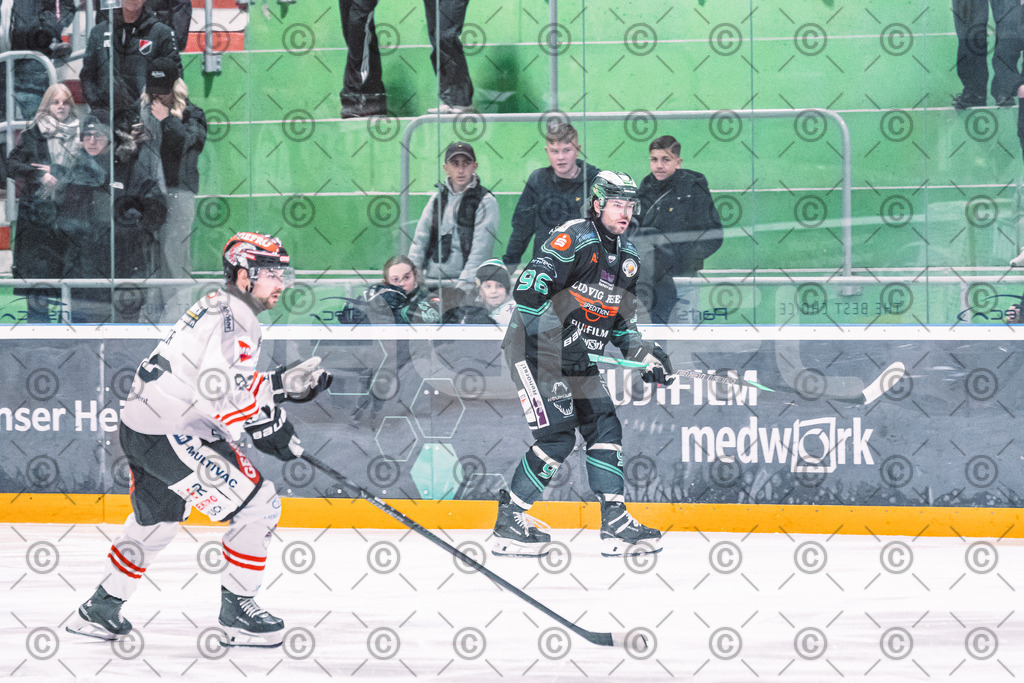 Alligators_vs_Memmingen_05_12_2025-122 | Höchstadt Alligators Fotogalerie: Eishockey-Action aus Franken. Professionelle Spielfotos, Portraits & Stadionbilder zum Download. Jetzt entdecken! - Realisiert mit Pictrs.com