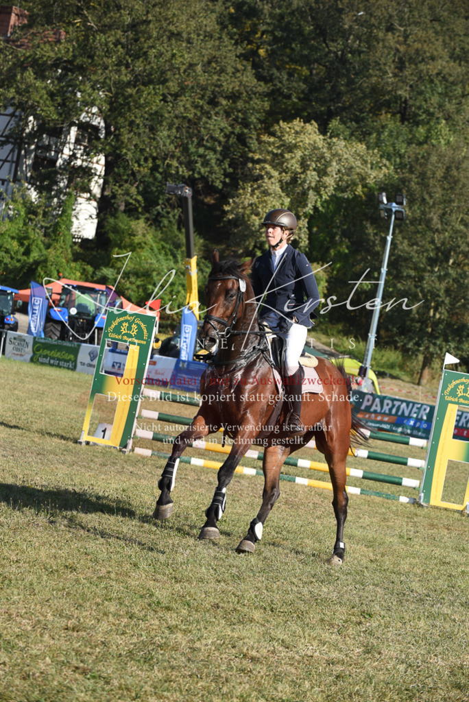 DSC_5283 | Pferde- und Turnierfotografie in Westsachsen. Pferdeportraits, Auftragszeichnungen und intuitive Kunst.