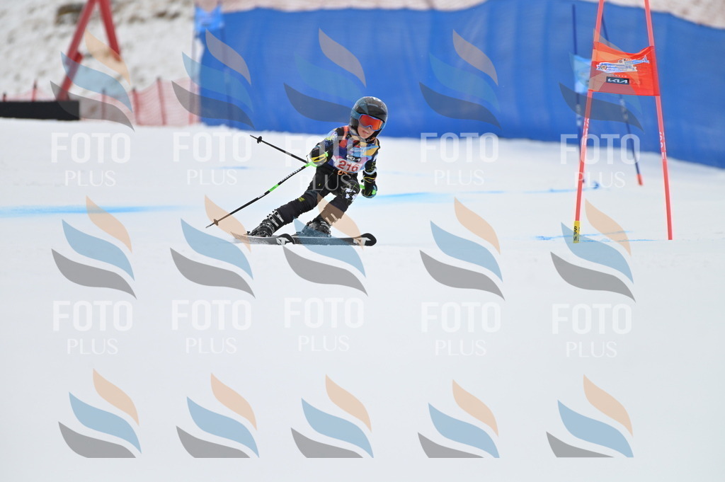 BGV_2770 | holidayphoto