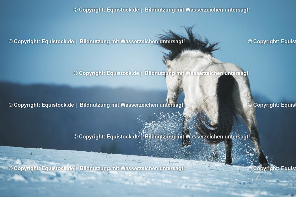 TS_20170129_Winterbilder_Falbe_0007 | Foto: Thomas Hartig