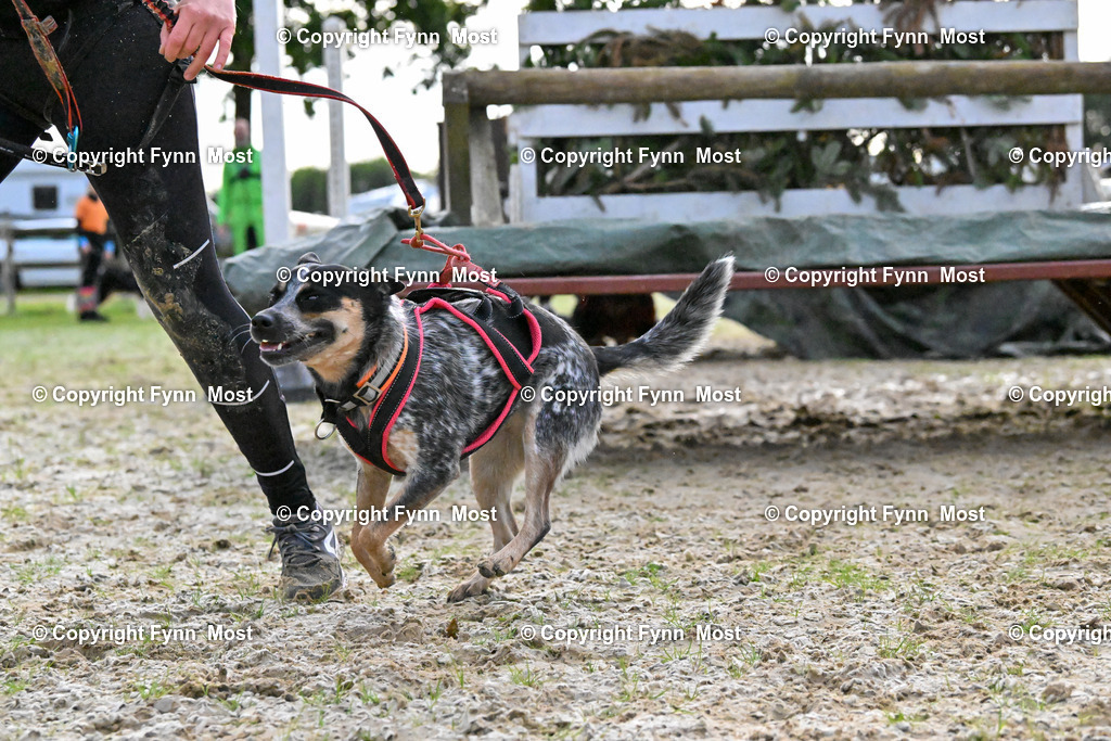 DSC_4027 | Hallo und herzlich Willkommen auf meiner Shop-Seite Fynn Most.

Ich wünsche Dir viel Spaß beim stöbern durch die Bilder, wenn Du Fragen hast oder Bilder vermisst, kannst du mir gerne eine Nachricht schreiben. - Realisiert mit Pictrs.com