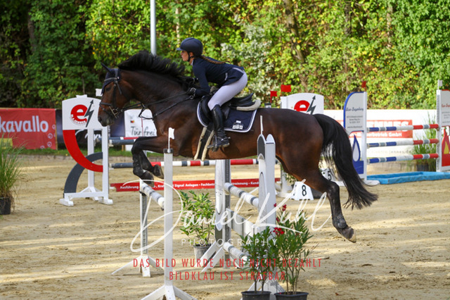 DKP42514 | Turniersportfotografie; Pferdefotografie; Dressurfotografie