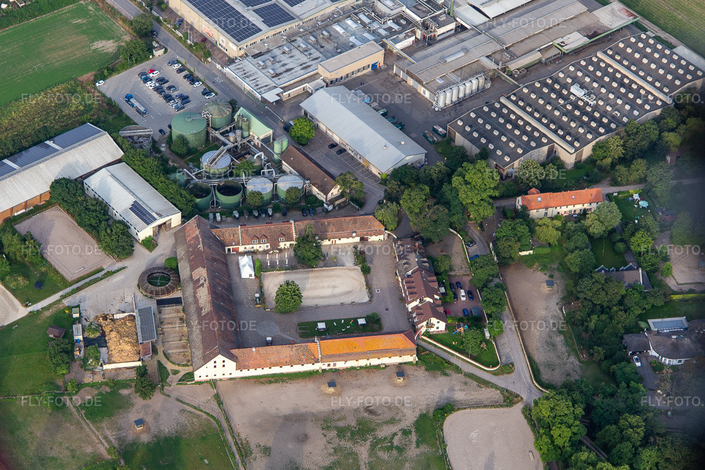 Luftbild: Intersnack Deutschland SE Werk Petersau und Reitanlage Carlo von Opel im Ortsteil Mörsch in Frankenthal im Bundesland Rheinland-Pfalz in Deutschland.Foto: IMG_142760.jpg vom 19.07.2024 durch Werner Riehm/FLY-FOTO.deWWW.INTERSNACK.DEWWW.HOFGUT-PETERSAU.DE