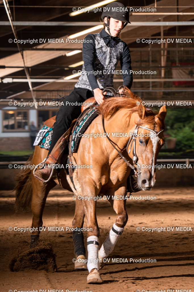 Erbach Tag 3-810 | dv-media-shop - Realisiert mit Pictrs.com