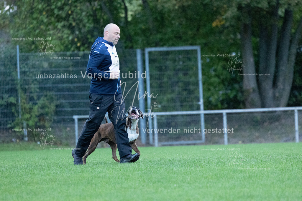 _16A4421 | Einzigartige Fotos von Hunden & Menschen –Actionfotos, Portraits, Vereinsaufnahmen & Paarshootings – authentisch, lebendig & mit Herz.