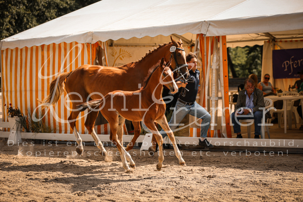 07.DoWBS00133 | Leoni Ertmer Photography - Realisiert mit Pictrs.com