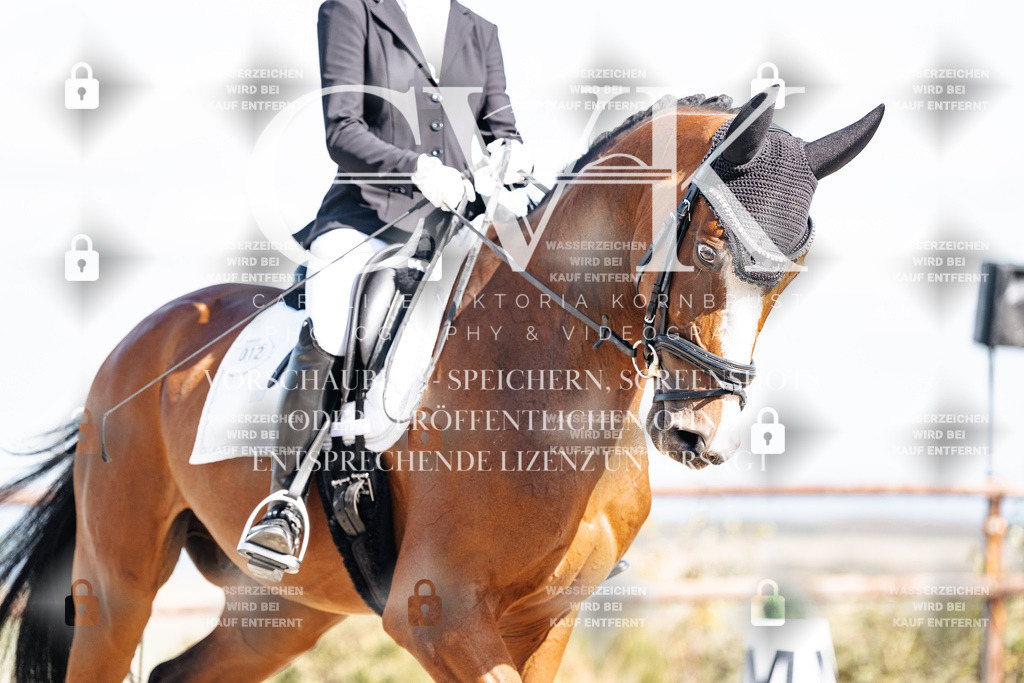 CK902294 | Turnierfotografie Pferdefotografie Trier Rheinland-Pfalz Pferdesport Reitsport Tierfotografie Sportfotografie Pferdevideo Pferdevideografie Equestrianvideography equestrianphotography  - Realisiert mit Pictrs.com