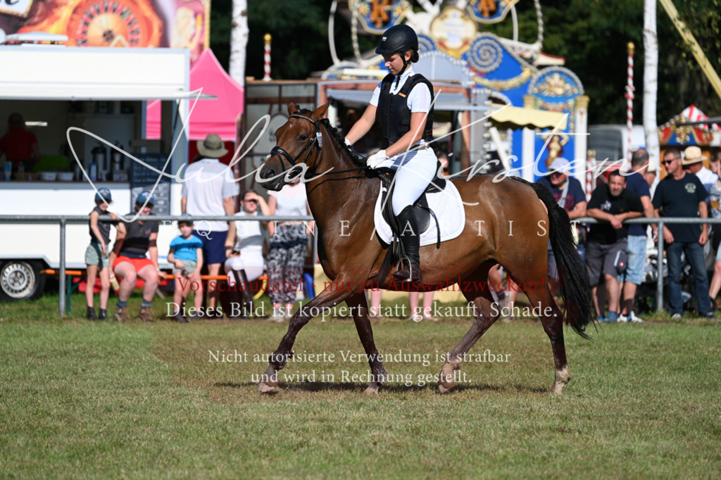 DSC_5299 | Pferde- und Turnierfotografie in Westsachsen. Pferdeportraits, Auftragszeichnungen und intuitive Kunst.