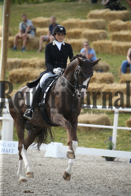 Birkhof_2022_GrandPrixSpecial_Jasmin Schaudt_Fano 3 (13) | Alle Fotos der Reiterjournal Fotografin Doris Matthaes im Reiterjournal Online-Fotoshop. - Realisiert mit Pictrs.com