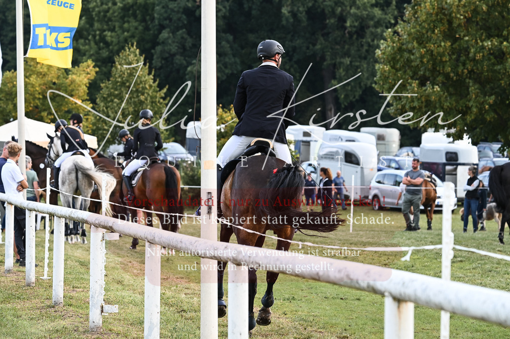 DSC_5823 | Pferde- und Turnierfotografie in Westsachsen. Pferdeportraits, Auftragszeichnungen und intuitive Kunst.