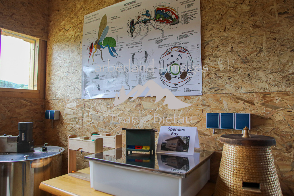 OE7A0828 | Medien- Sport- Entertainmentfotos