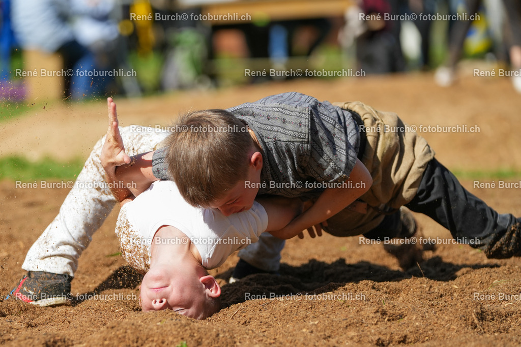 RB_00259-2 | René Burch leidenschaftlicher Fotograf aus Kerns in Obwalden.  Hier finden sie Sport, Landschaft und Natur Fotografie.
 - Realisiert mit Pictrs.com