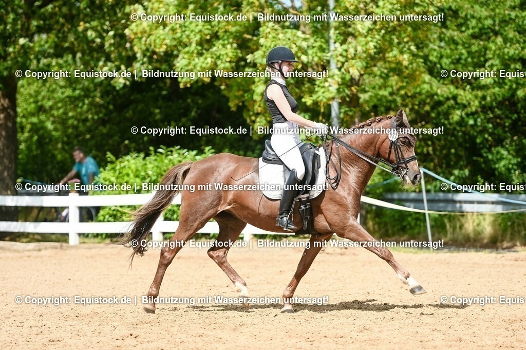 20230716_01_Dressurprüfung Kl.M_0348 | equistock