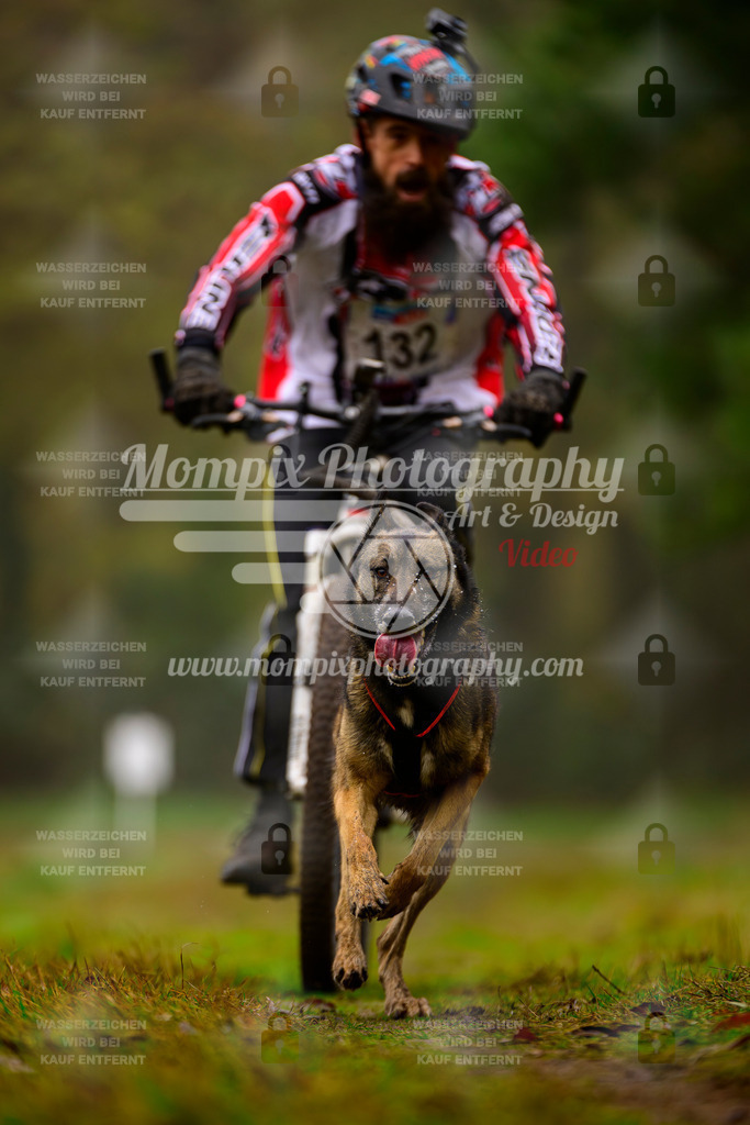 MompixPhotography_Bischwiller2025_Bike-89 | mompixphotography