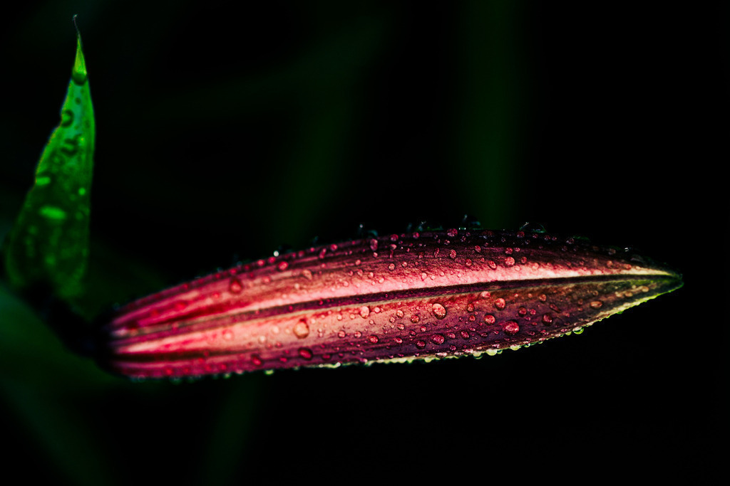 _T2A0792 | ap-design // andreas plenk - Realisiert mit Pictrs.com