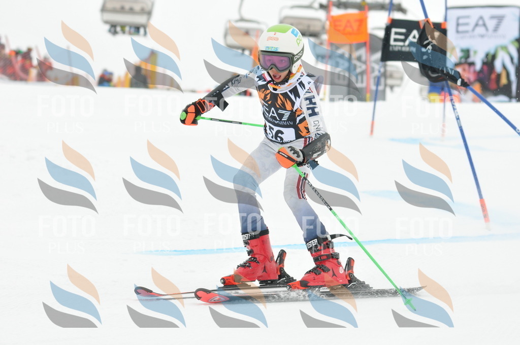 DSC_7764 | holidayphoto