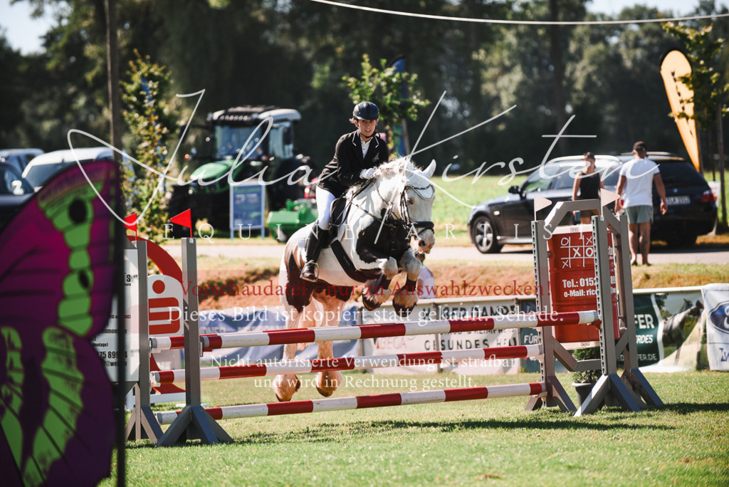 DSC_2591 | Pferde- und Turnierfotografie in Westsachsen. Pferdeportraits, Auftragszeichnungen und intuitive Kunst.