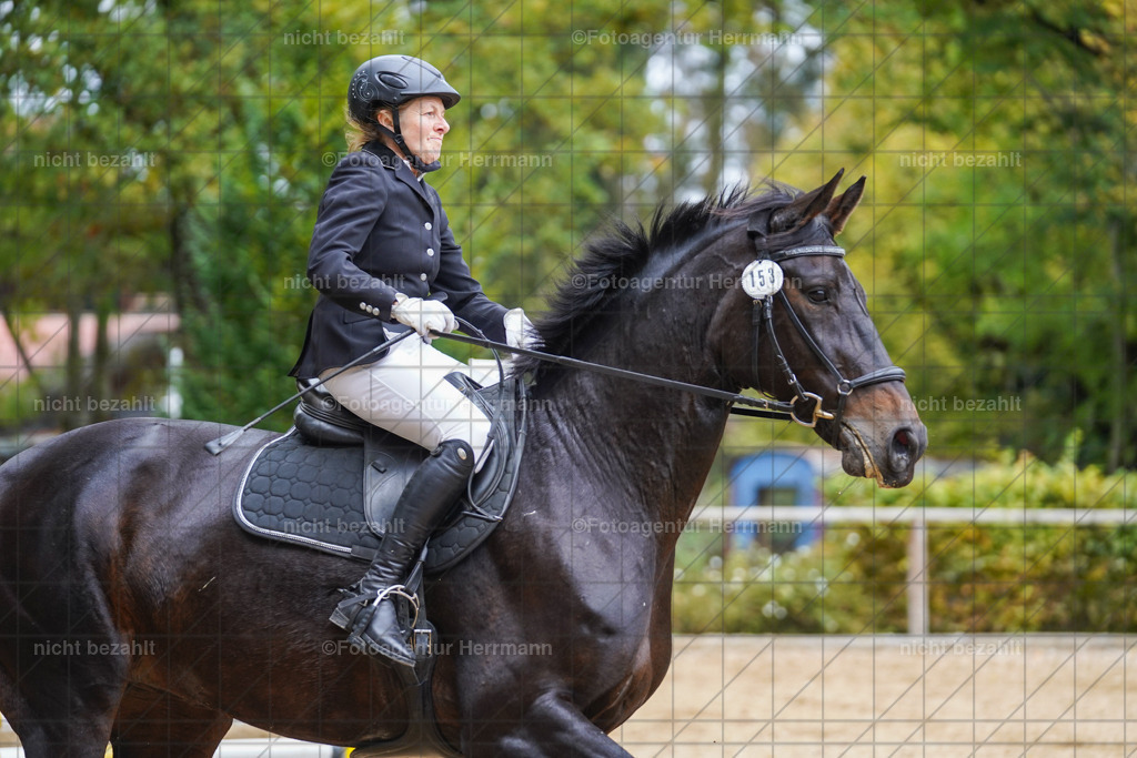 20221009-FAH08891 | Diessen am Ammersee, 2022, Dressur- und Springturnier, Reitsportbilder, Turnierfotografen Bayern, Pferdefotografen, Fotoagentur Herrmann, Turnierbilder