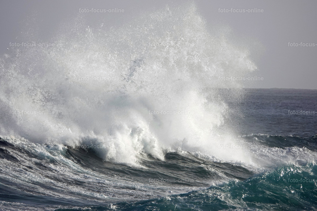 Wild Waves | Wild Waves Atlantic