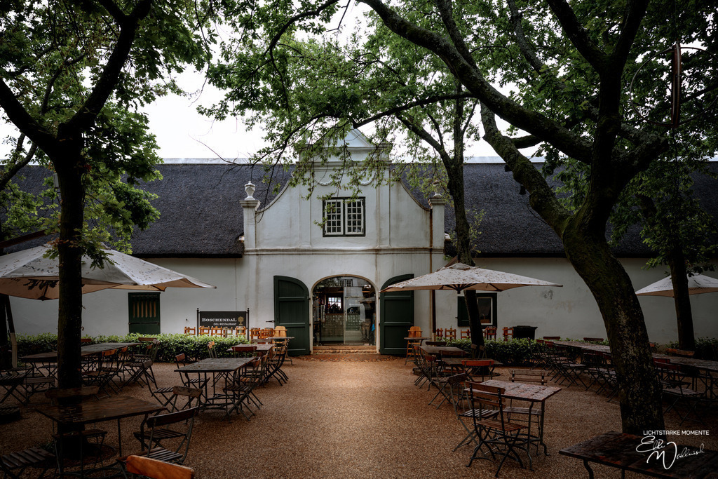 20230930-102634 SOUTHAFRIKA_-1 | Herzlich willkommen auf meiner Seite! Ich bin Elke Wallnisch, Deine Fotografin für lichtstarke Momente. Der Name steht für alles, was mich mit der Fotografie verbindet: Das Licht und seine machtvolle Wirkung auf eine Situation oder unsere Stimmung - Realisiert mit Pictrs.com