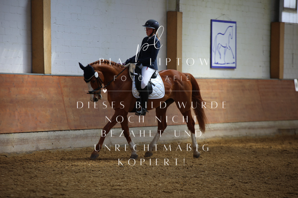 IMGT3948 | pl-fotografie