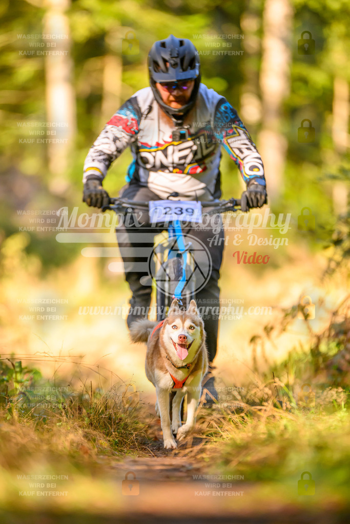 MompixPhotography_Yens2025_B3-57 | PayLife