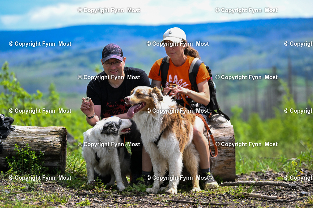 DSC_5694 | Hallo und herzlich Willkommen auf meiner Shop-Seite Fynn Most.

Ich wünsche Dir viel Spaß beim stöbern durch die Bilder, wenn Du Fragen hast oder Bilder vermisst, kannst du mir gerne eine Nachricht schreiben. - Realisiert mit Pictrs.com