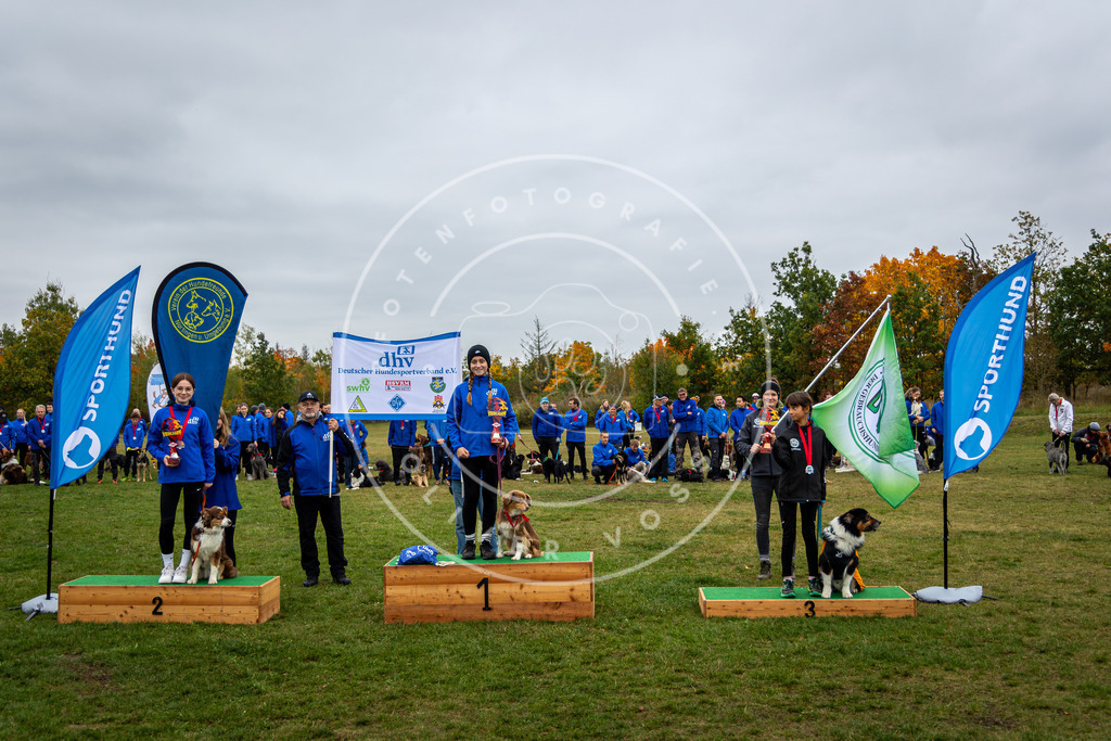 Pfotenfotografie_0L8A0490 | Hundefotografie, Tierfotograf, Pfotenfotografie, Fotoshooting Hund, Hunde Portrait, Hundesport, Hundeportraits, Heideshooting, Hunde, Sportfotograf, Hundefotograf, Turnierhundsport, THS,  - Realisiert mit Pictrs.com